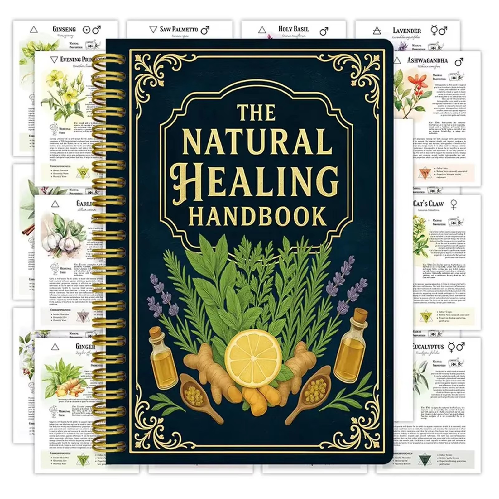 Health & Wellness Kuala Lumpur Reviews - Healing Handbook By Luna Filby English