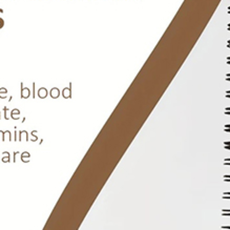 Health With Wellness - Mental Health Journal ,Mental Health Planner,Wellness
