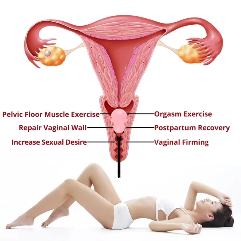 30 X 20 MM Massage Egg Natural - Xbody Health & Wellness Wayne Nj incelemesi ve fiyatı
