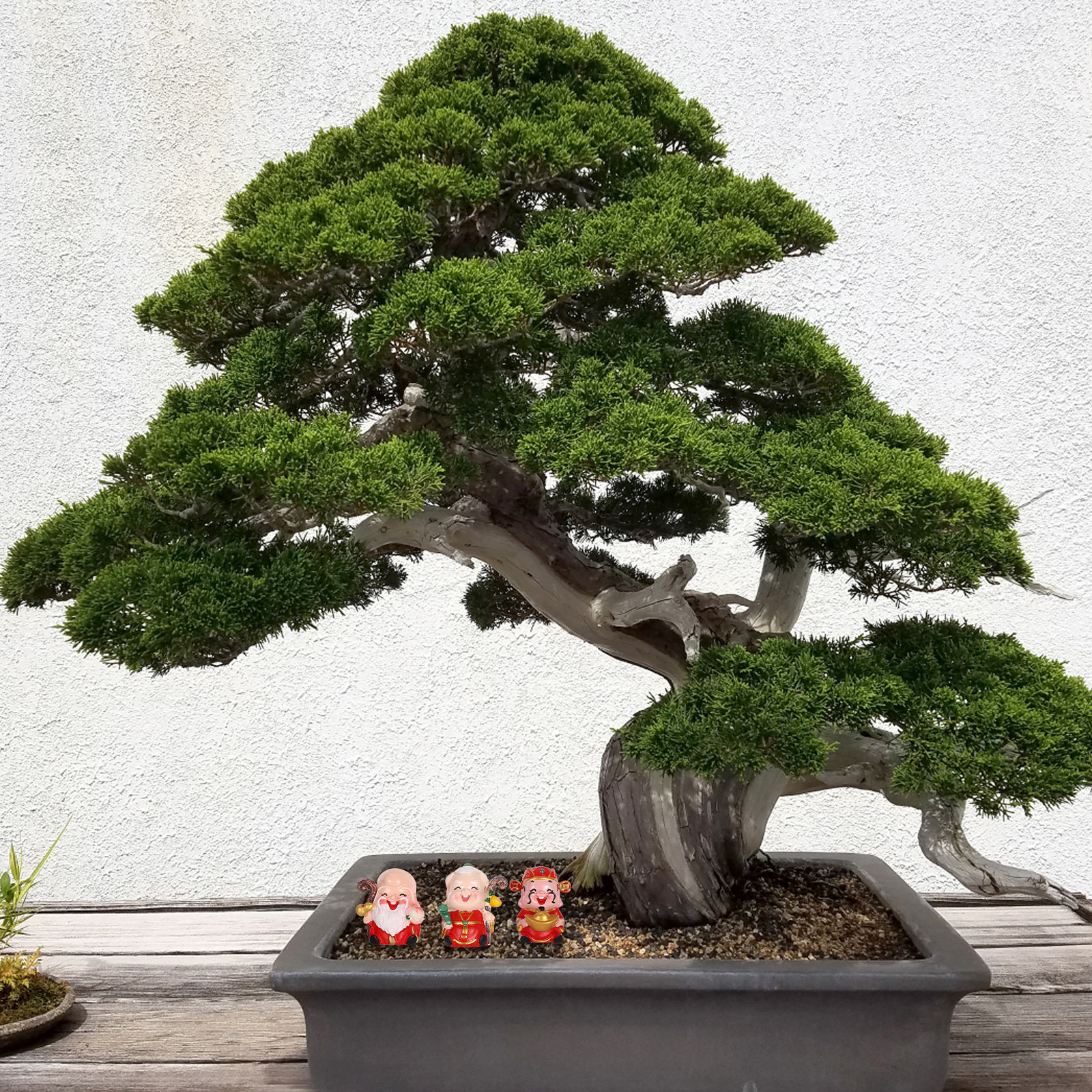 3Pcs Resin Chinese Elder Figur - Longevity Health & Wellness Hotel incelemesi ve fiyatı
